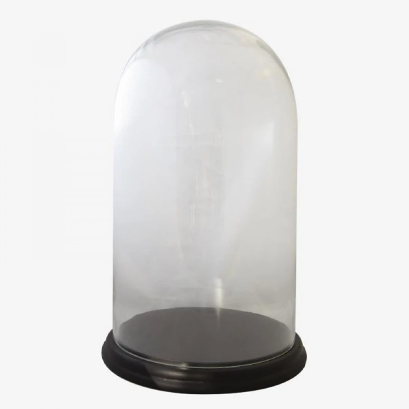 p 1 8 5 2 1852 Urna de Cristal