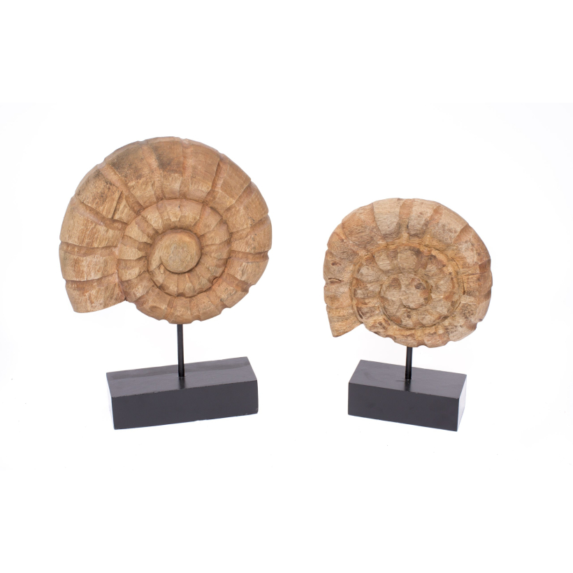 Caracola de madera grande