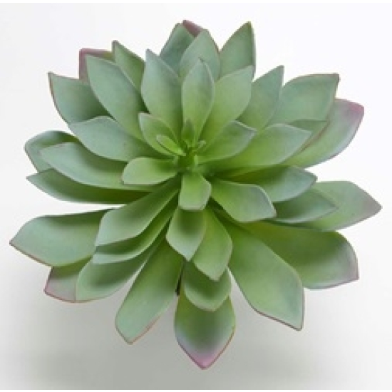 Planta artificial Echevaria 21cm