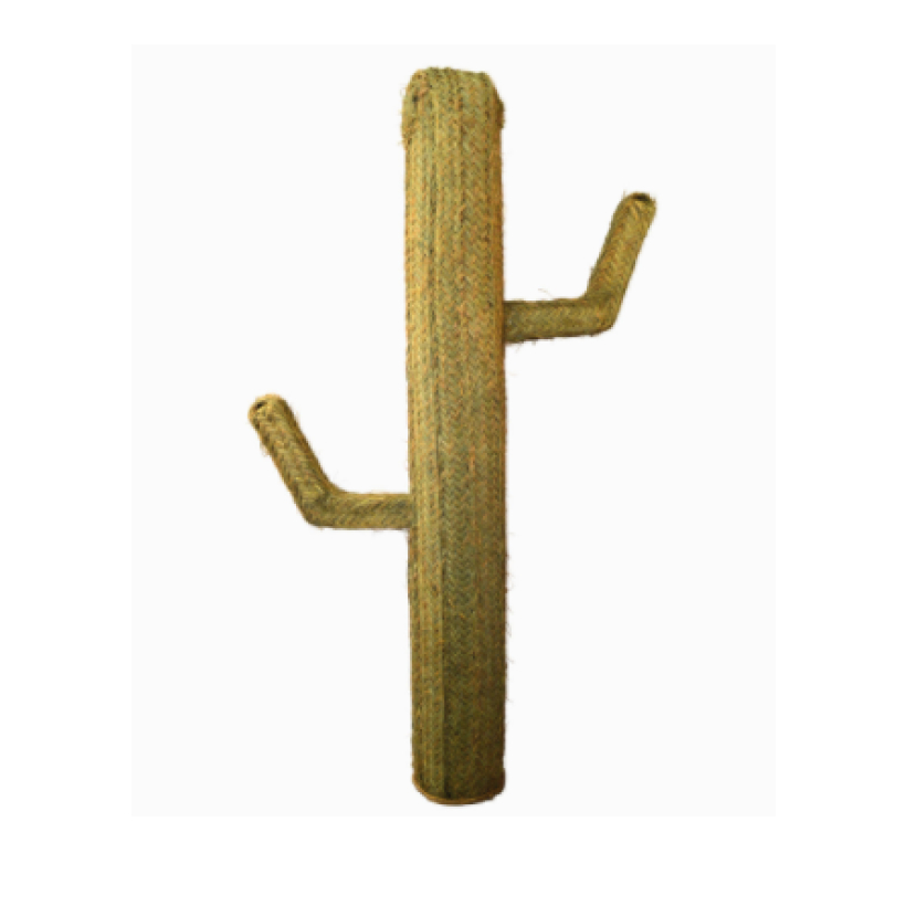 Cactus esparto grande