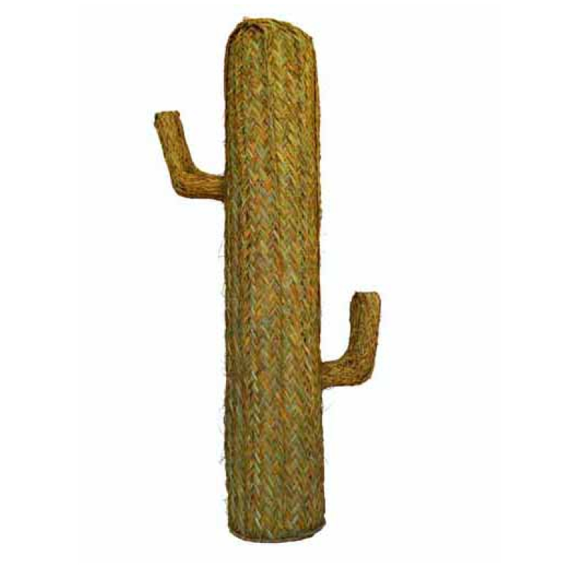 Cactus de esparto mediano