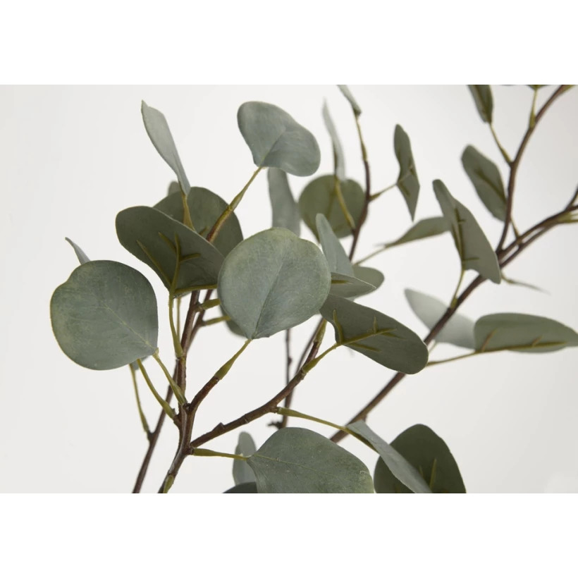 Enredadera ancha Imitación Eucalyptus sanderiana