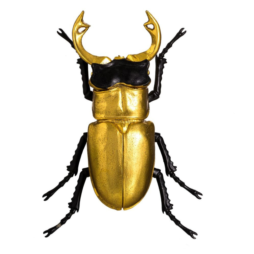 Escarabajo oro y negro 2