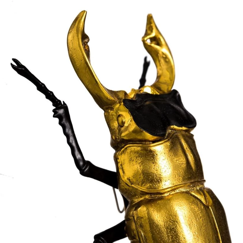 Escarabajo oro y negro 2