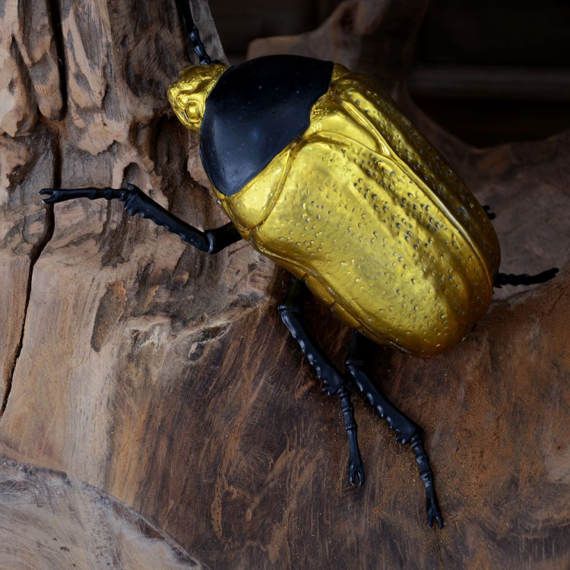 Escarabajo oro y negro 3