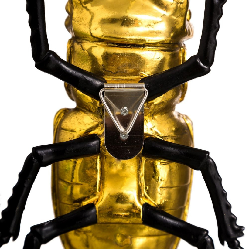 Escarabajo oro y negro 3