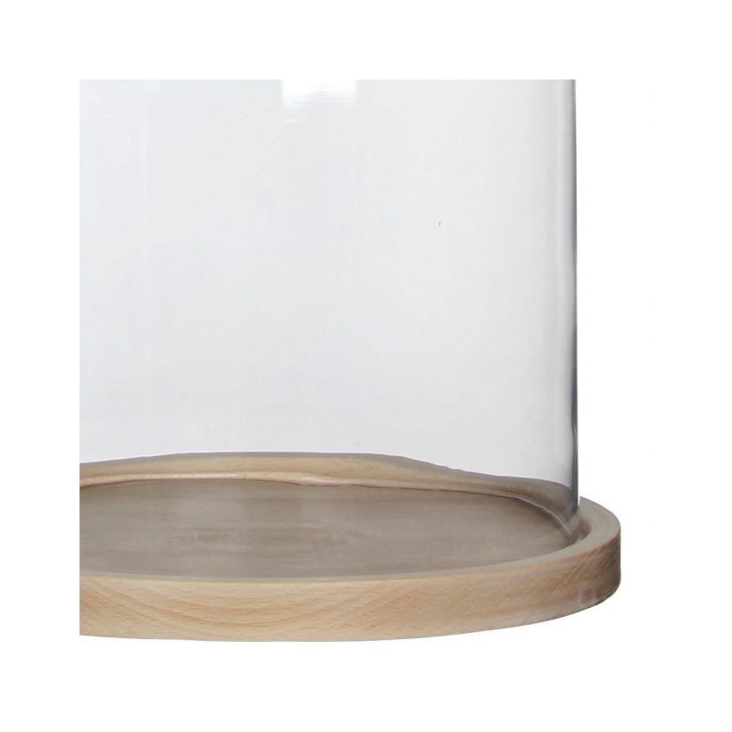 Campana cristal (3)