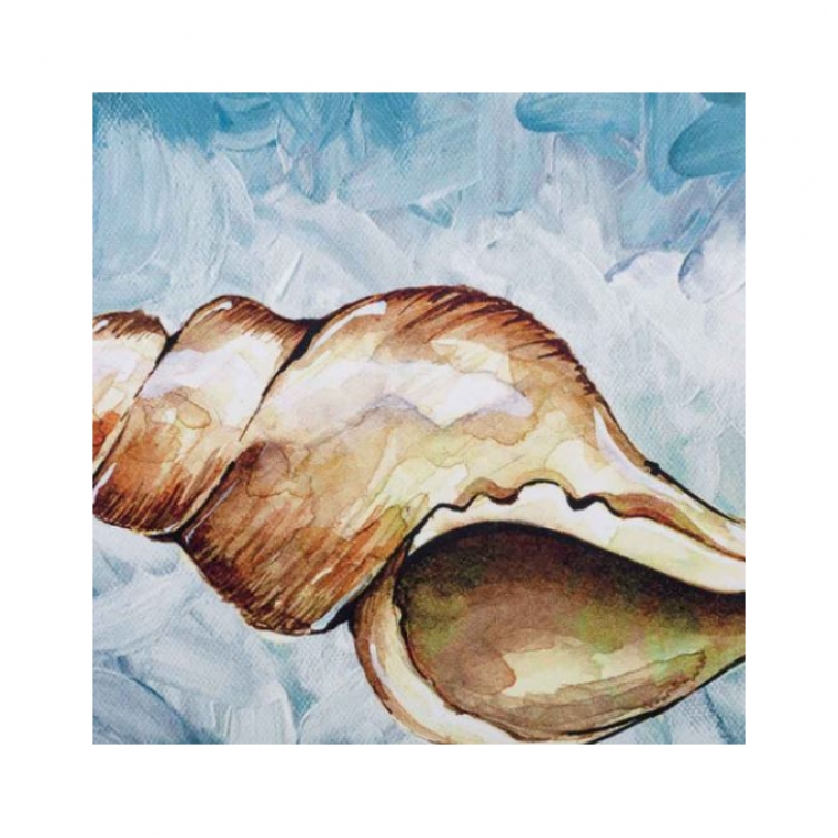 Cuadro caracola 3