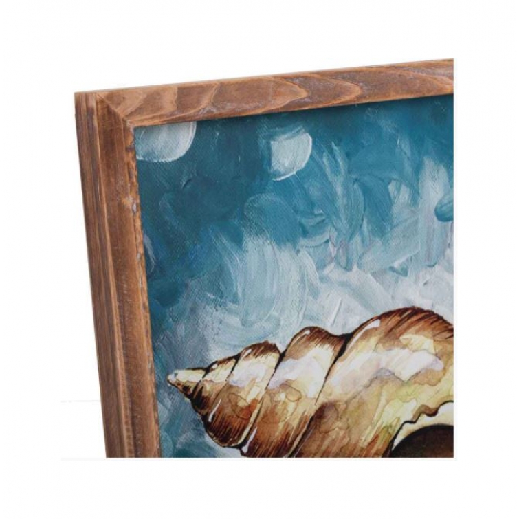 Cuadro caracola 4