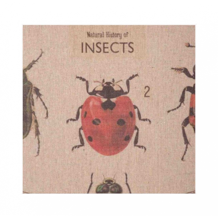 Cuadro tela insectos 3