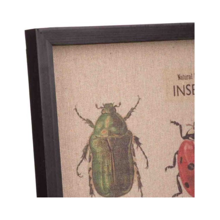 Cuadro tela insectos 4