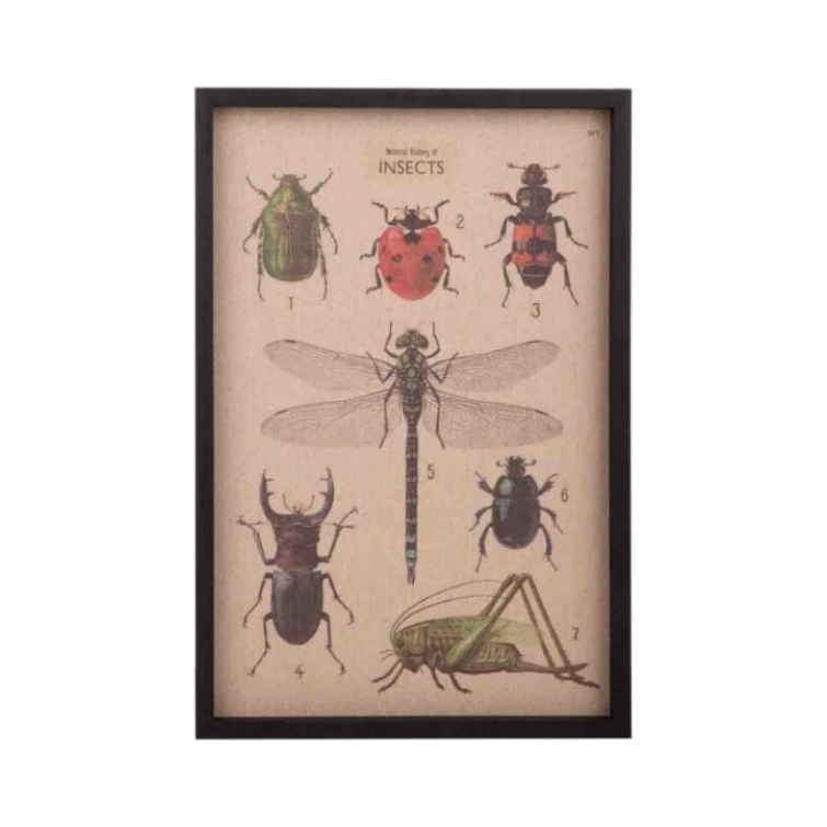 Cuadro tela insectos 5