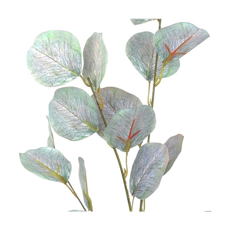 Eucalipto verde 2 1
