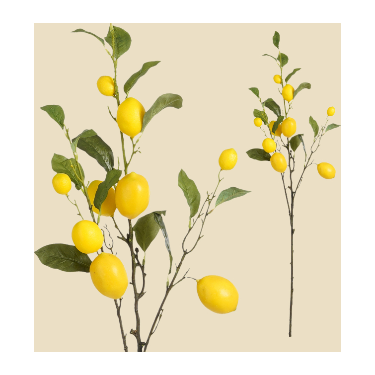 rama limonero 1