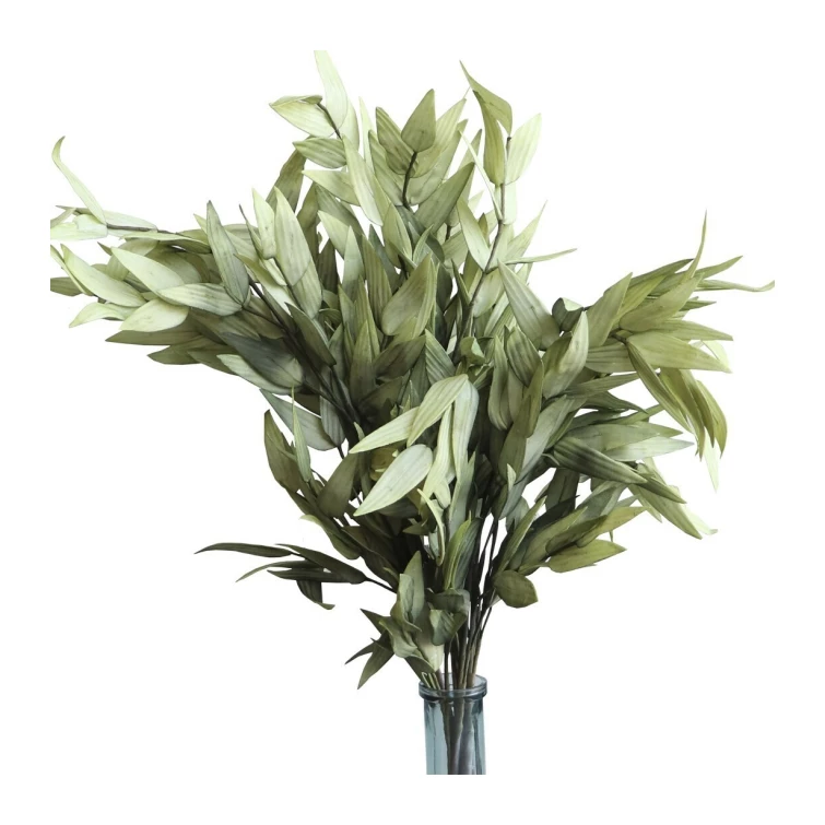 rama verde 1