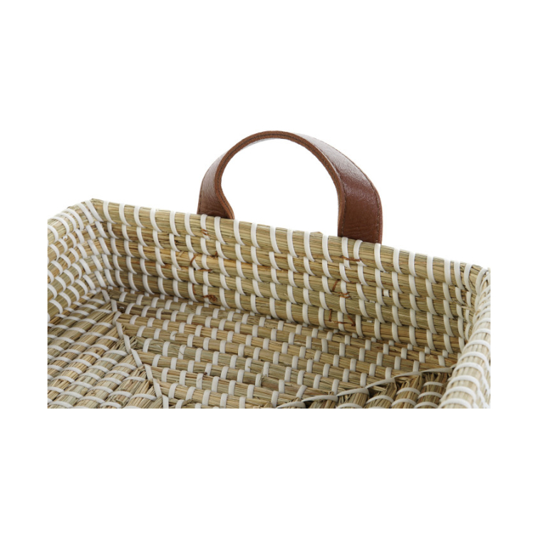 bandejas seegrass 2
