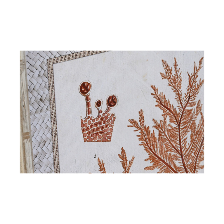 cuadro coral 3