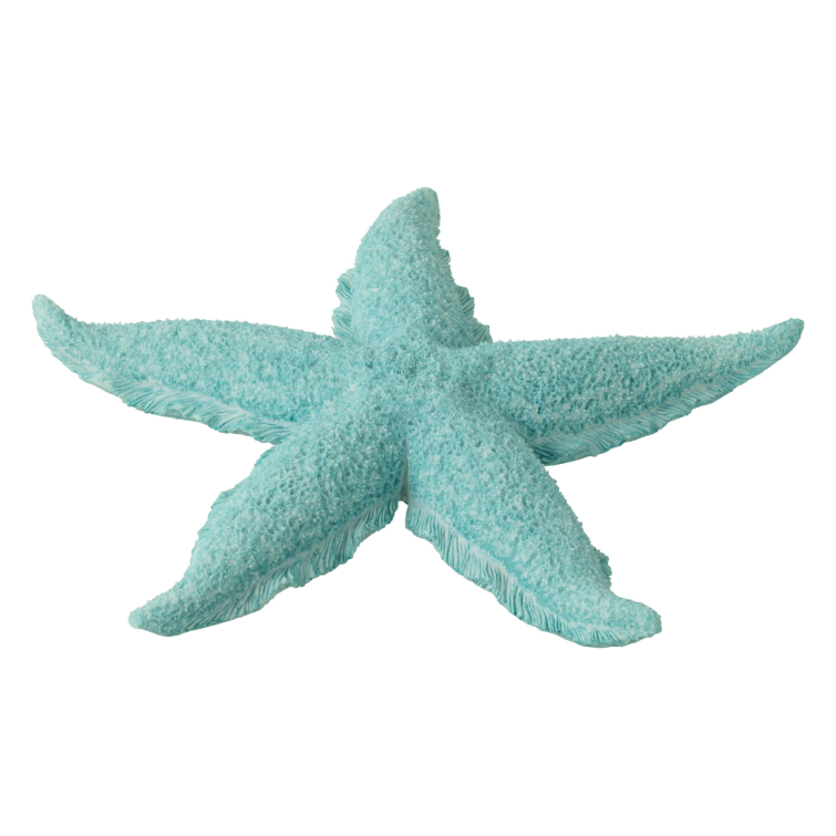Estrella de mar azul (1)