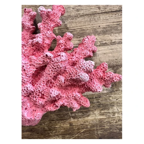 Figura coral 3