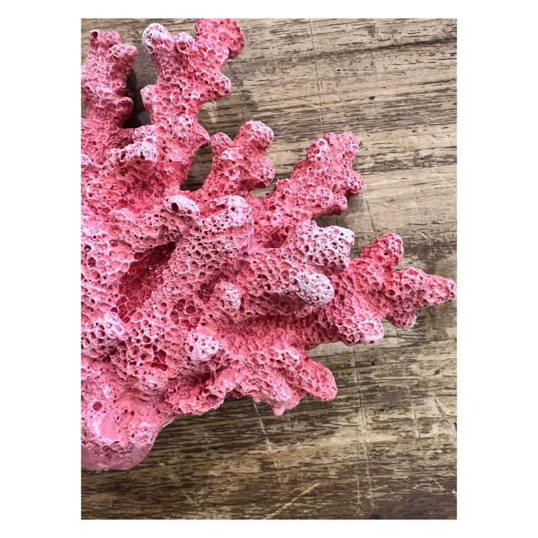 Figura coral 3