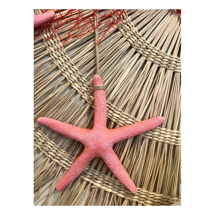 colgante estrella de mar 1