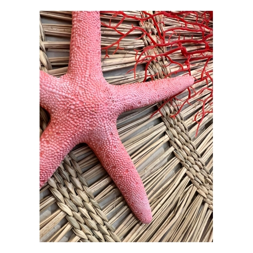 colgante estrella de mar 2