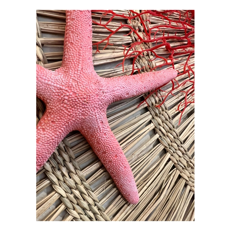 colgante estrella de mar 2