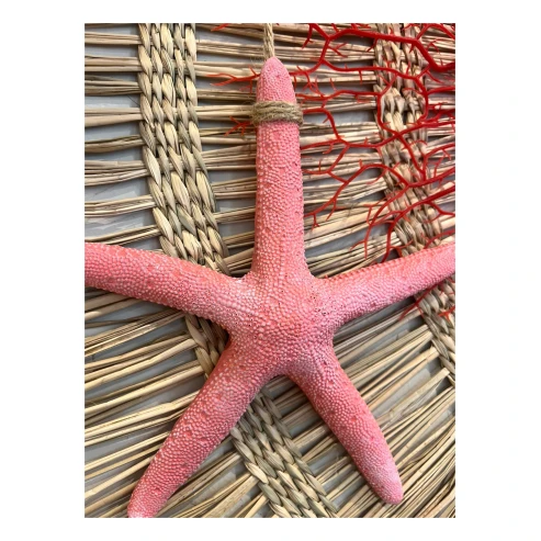 colgante estrella de mar 4