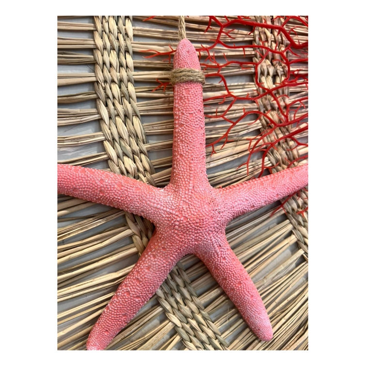 colgante estrella de mar 4
