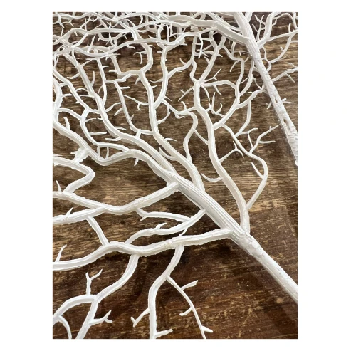 coral blanco 1
