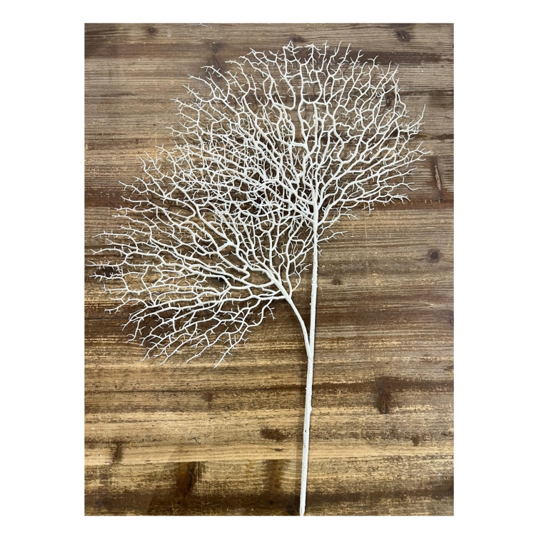 coral blanco 3
