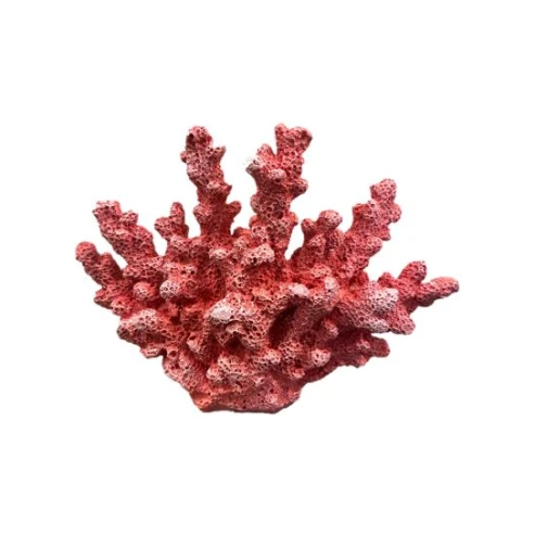 figura coral