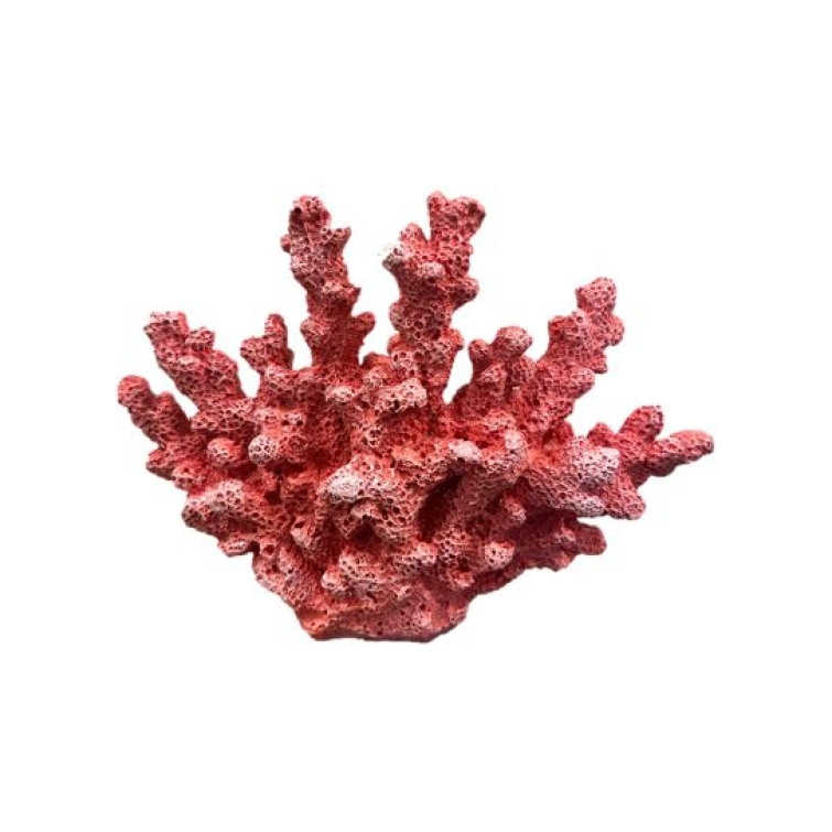 figura coral
