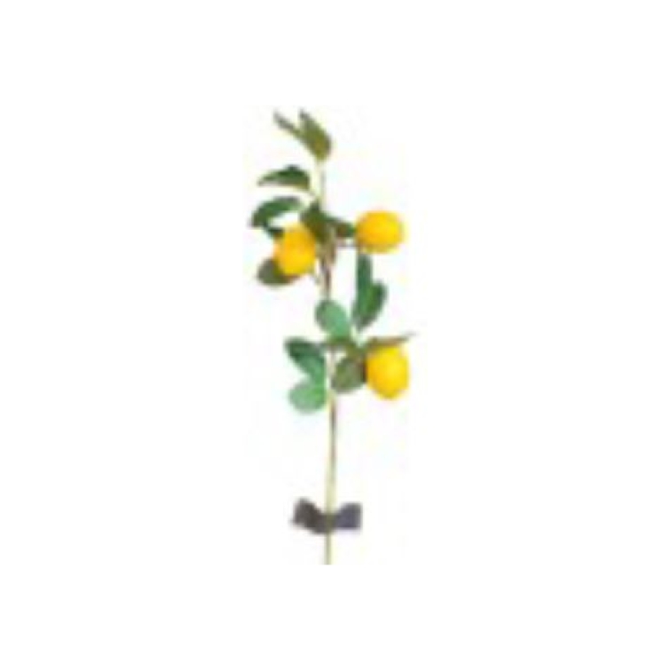 rama limon 2